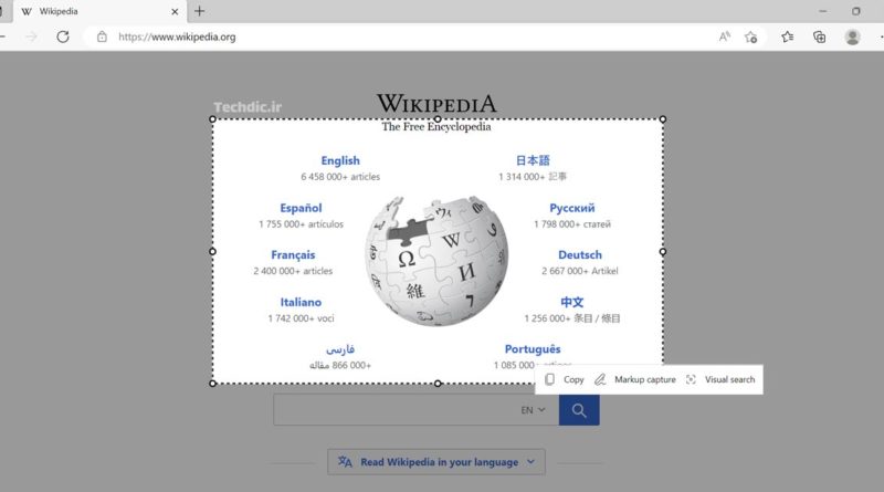 How to take screenshot of web pages in Microsoft Edge?