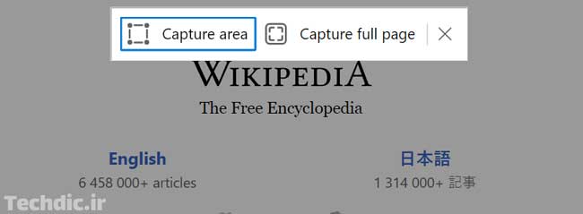 Screenshot options in Microsoft Edge