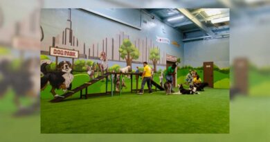 Puppy socialization classes, help your dog thrive in any environment