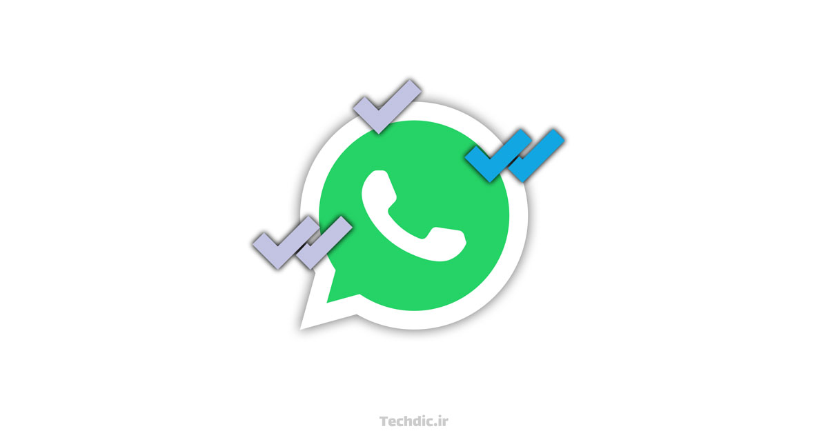 معنا و مفهوم تیک های پیام و رسید خوانده شدن پیام در واتساپ Whatsapp