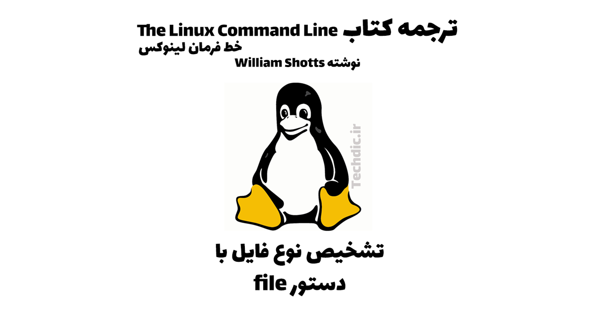 خط فرمان لینوکس – تشخیص نوع فایل با دستور file